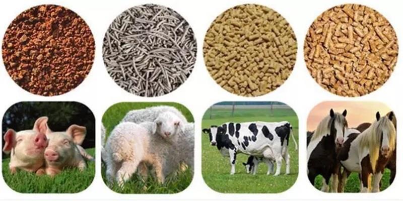 volaille feed pellet mill