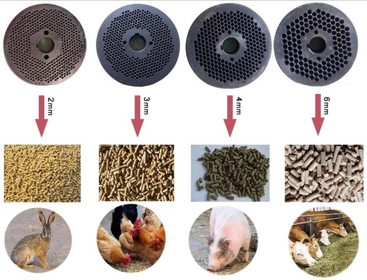 poultry feed manufacturing equipment