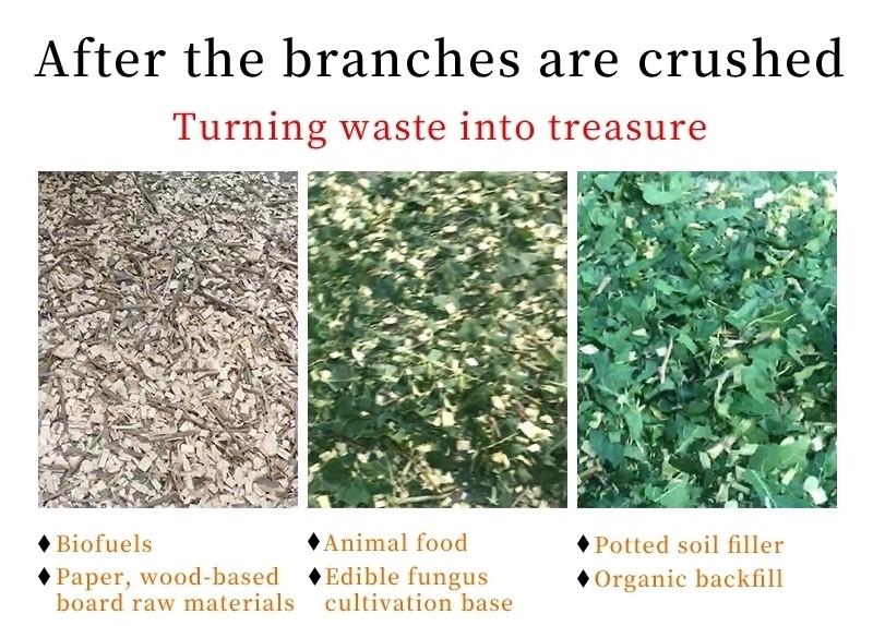 6.5hp gasoline chipper (1)_conew1