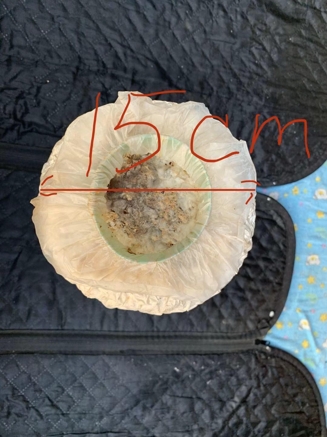 微信图片_20191129153927.jpg 微信图片_20191129153927.jpg