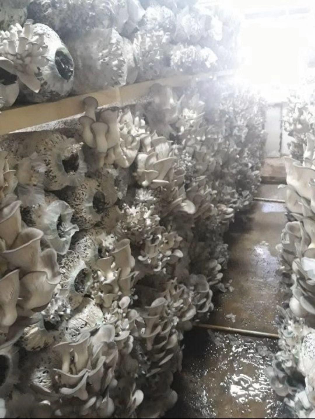 微信图片_20191129153933.jpg 微信图片_20191129153933.jpg