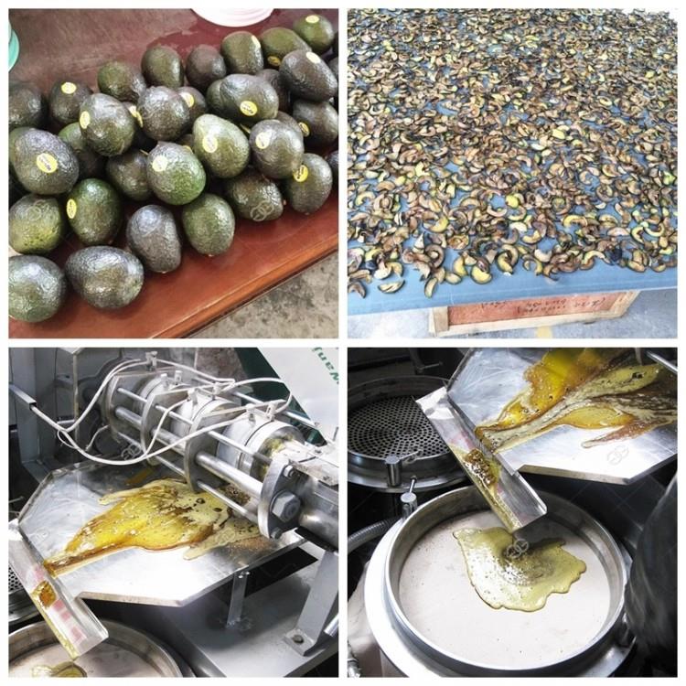 oil press machine (2)_