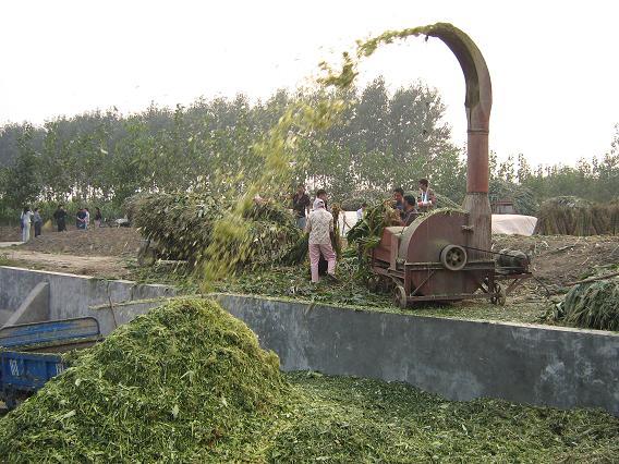 chaff cutter (35) chaff cutter (35)