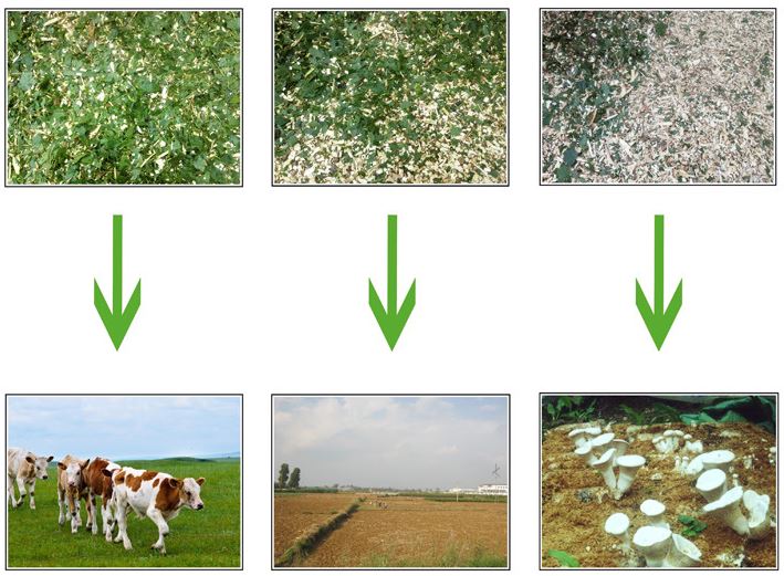 QQ截图20200304110258 QQ截图20200304110258