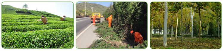 QQ截图20200304105301 QQ截图20200304105301