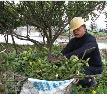 QQ截图20200304170230 QQ截图20200304170230