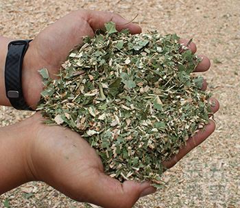 QQ截图20200304170253 QQ截图20200304170253