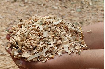 QQ截图20200304170335 QQ截图20200304170335