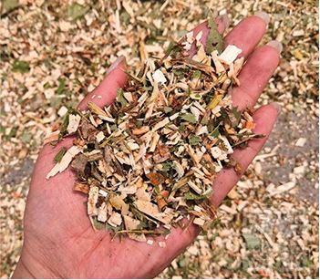 QQ截图20200304170407 QQ截图20200304170407