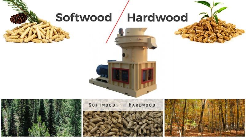 softwood-hardwood_conew1