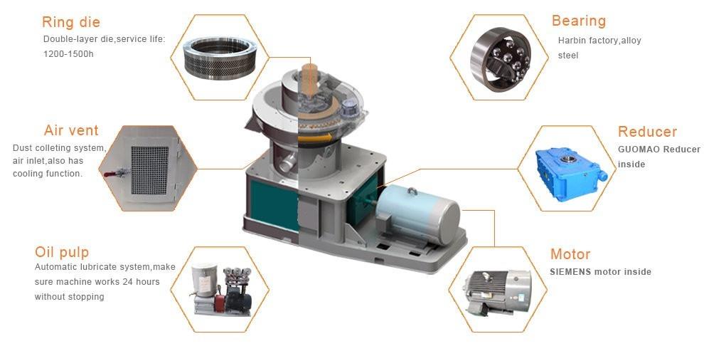 HTB1s5haKFXXXXbvXVXXq6xXFXXXM_conew2