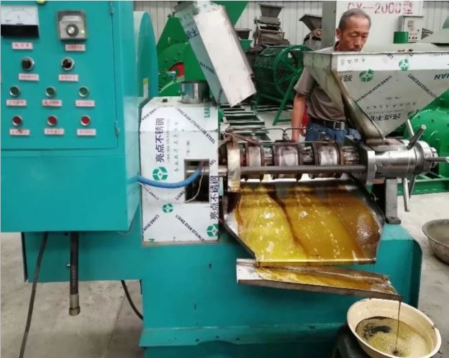 QQ截图20200312104957