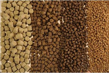 QQ截图20200316164613