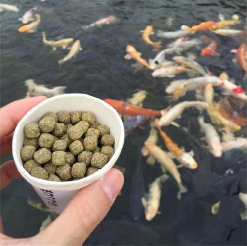 2345截图20200317104810