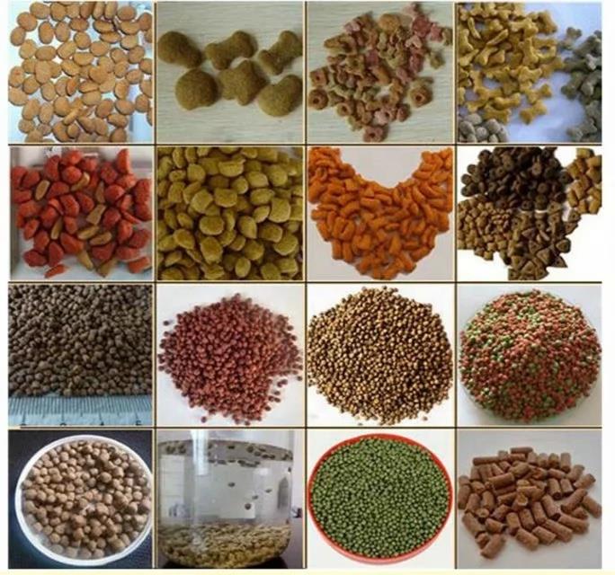 H015e0bd37df14a108b9200b6831b70b6h