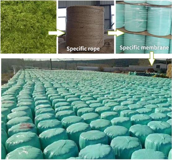 QQ截图20200319143301