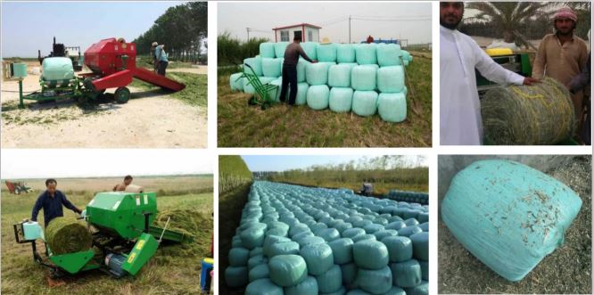 QQ截图20200319154852