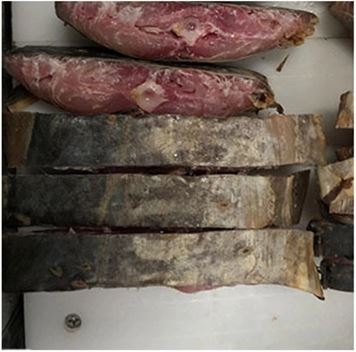 QQ截图20200320110345