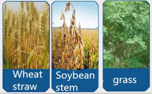 QQ截图20200323102718