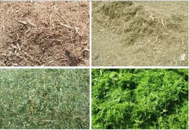 QQ截图20200323103022