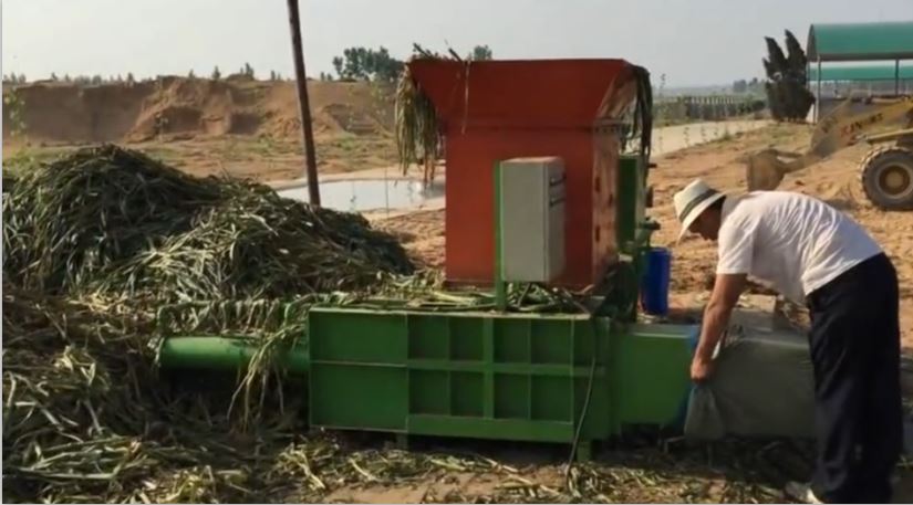 QQ截图20200323170816