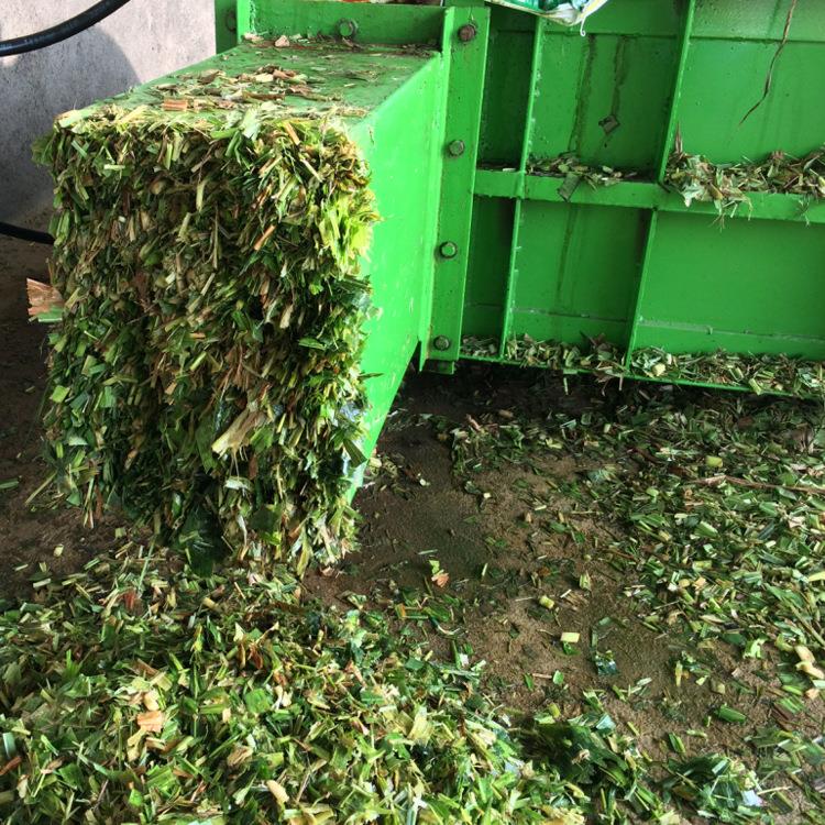 3800844249_1246585141