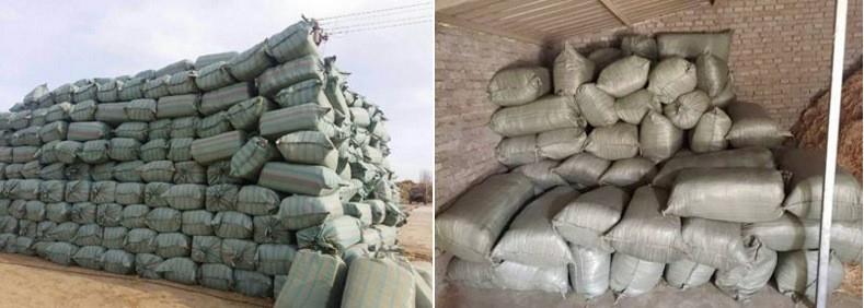 5061780676_1394852646_conew1