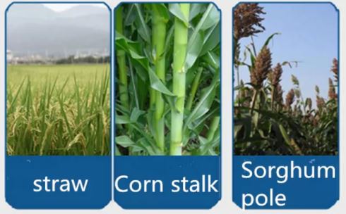 QQ截图20200323102657