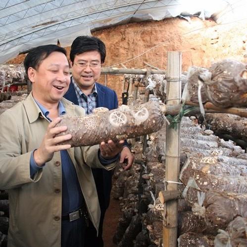 Mushroom Cultivation Machine