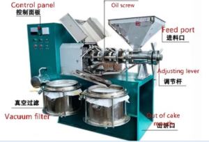 Sunflower Soybean Peanut Screw Oil Press Extraction